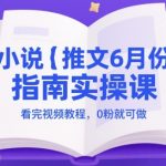 小说推文6月份指南实操课，看完视频教程，0粉就可做