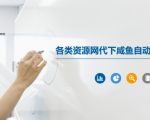 各类资源网代下咸鱼自动发货