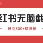 小红书截流同行客源，独家野路子获客玩法 日引200+暴力获客【揭秘】