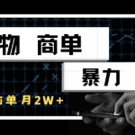 得物商单暴力玩法，一个账号单月1W+，手机无脑搬砖