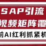 小红书某音sap赛道引流获客 自热矩阵日引200+【揭秘】