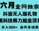 25年6月高爆抖音无人直播最新撸音浪掘金项目，门槛低小白可做，无脑日入1k，可矩阵放大【揭秘】