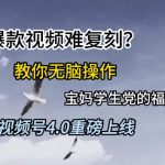 视频号4.0重磅上线，爆款视频难复刻？教你无脑操作宝妈学生党的福利【揭秘】
