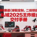 小众暴利赛道(球鞋定制，二创项目)实体+私域2025王炸组合  交付手册