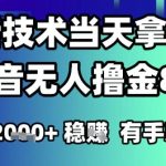 2025六月最新抖音无人撸金8.0.最新技术当天拿结果，单日1k+ 有手就行【揭秘】
