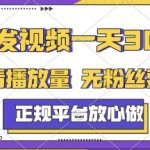 转发视频一天3张+，正规平台放心做，不看播放量，无粉丝要求，随时随地挣收益【揭秘】