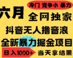 25年6月高爆抖音无人直播最新撸音浪掘金项目，小白可做，无脑日入1k+，门槛低可批量矩阵【揭秘】