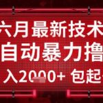 六月最新技术全自动暴力撸金，稳定日入2k+包起号，长期稳定【揭秘】