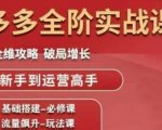 拼多多全阶实战课程，全维攻略，破局增长，从新手到运营高手