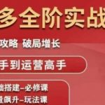 拼多多全阶实战课程，全维攻略，破局增长，从新手到运营高手