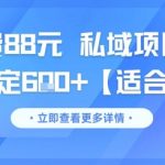 一单收费88元 私域项目新玩法 每天稳定6张+【适合新手】