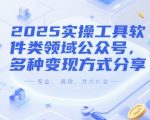 2025实操工具软件类领域公众号，多种变现方式分享