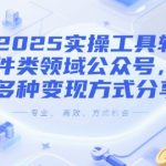 2025实操工具软件类领域公众号，多种变现方式分享