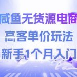 咸鱼无货源电商，高客单价玩法，新手1个月入门
