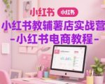 小红书教辅薯店实战营-小红书电商教程