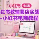 小红书教辅薯店实战营-小红书电商教程