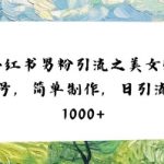 小红书男粉引流项目之美女账号6，简单制作，条条爆款原创，不违规