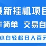 最新挂G项目，操作简单，交易自由，新手小白轻松日入100+【揭秘】
