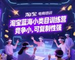 淘宝蓝海小类目训练营， 竞争小，可复制性强