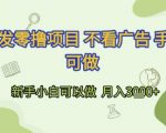 首发零撸项目 不看广告 手机可做 新手小白可以做  月入3k+【揭秘】