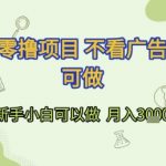 首发零撸项目 不看广告 手机可做 新手小白可以做  月入3k+【揭秘】