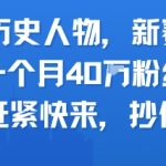 AI历史人物新赛道，一个月40W粉丝，赶紧快来抄作业