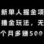 最新单人掘金项目，暴力撸金玩法，无风控，每个月多挣5k+【揭秘】