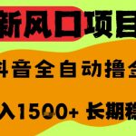 最新风口抖音无人直播掘金，纯暴力项目，无人撸音浪，全自动运行日入1.5k+，可矩阵放大【揭秘】