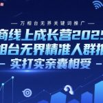 电商线上成长营2025年，万相台无界关键词推广-万相台无界精准人群推广-实打实亲囊相受