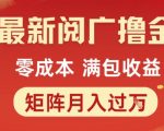 最新阅广撸金项目，零成本满包收益，可矩阵操作，月入过1W【揭秘】
