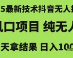 2025最新技术抖音无人掘金，风口项目，纯无人，当天拿结果日入1k+【揭秘】