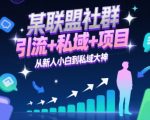 某联盟社群，引流+私域+项目，从新人小白到私域大神