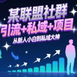 某联盟社群，引流+私域+项目，从新人小白到私域大神