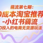 薅流第七期：纯0成本淘宝推荐流-小红书薅流最新版目，0投入的电商无货源玩法（附赠往期）