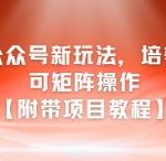 AI+公众号新玩法之培养型，可矩阵操作【附带项目教程】