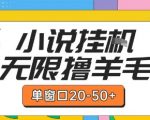 最新小说挂G自撸玩法本人实操单窗口20-50+可矩阵放大操作【揭秘】