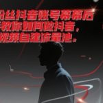 千万粉丝抖音账号幕后操盘手教你如何做抖音，掘金短视频自建流量池