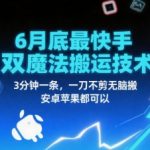 6月底最新快手双魔法搬运技术，3分钟一条，一刀不剪无脑搬，安卓苹果都可以