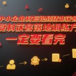 中小企业利用短视频精准获客，可复制获客落地训练方案，做好短视频，一定要看完