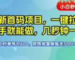 最新首码项目，一键拉新有手就能做，几秒钟一单，1个小时单号可60+，矩阵批量做每天5张【揭秘】