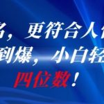 AI一键起名，更符合人性化，接单接到爆，小白轻松月入四位数!