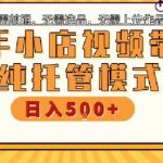 快手小店托管代运营，无需剪辑，无需选品，无需上传作品，全程无需操作，轻松月入5k+【揭秘】