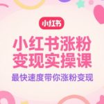 小红书涨粉变现实操课，最快速度带你涨粉变现