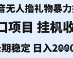 最新风口抖音无人暴力撸金技术，不违规不封号，一个小时收益2k+，小白当天拿结果【揭秘】