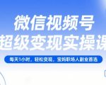 微信视频号超级变现实操课，每天1小时，轻松变现，宝妈职场人副业首选