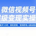 微信视频号超级变现实操课，每天1小时，轻松变现，宝妈职场人副业首选