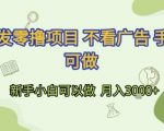 首发零撸项目 不看广告 手机可做 新手小白可以做  月入3k+【揭秘】