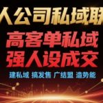 一人公司私域联盟，高客单私域，强人设成交，建私域 搞发售 广结盟 造势能