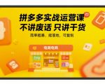 拼多多实战运营课，不讲废话只讲干货，简单粗暴，能落地，可复制