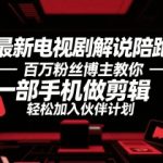 最新电视剧解说陪跑，百万粉丝博主教你一部手机做剪辑，轻松加入伙伴计划